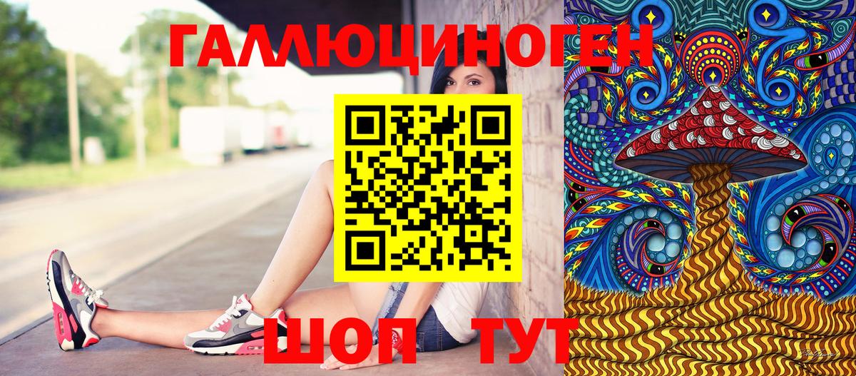 Псилоцибиновые грибы Psilocybe  Артём  Галлюциногенные грибы прущие грибы 