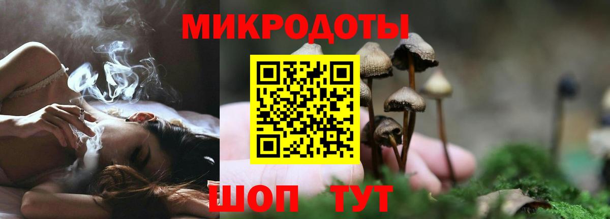 Псилоцибиновые грибы Magic Shrooms Артём